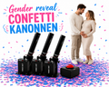 Gender Reveal Confetti Show